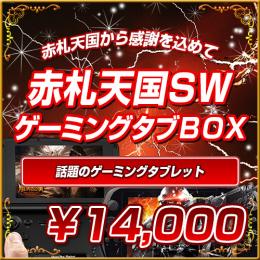 <SW特選>ゲーミングタブBOX【14000円】